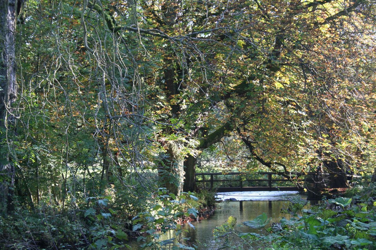 Biggin Hall Country House Hotel Hartington Bagian luar foto